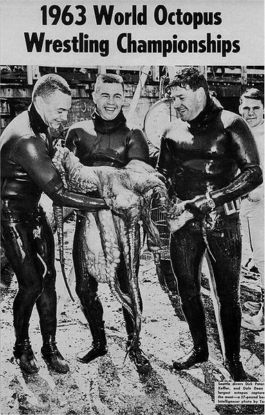 Illustration for article titled Octopus Wrestling, A Sport That Amounted To Cephalopod Home Invasion